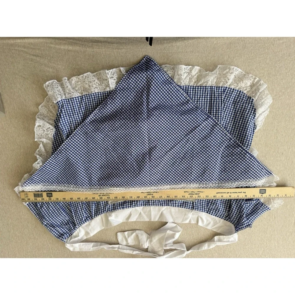 Blue Gingham Apron And Head Scarf